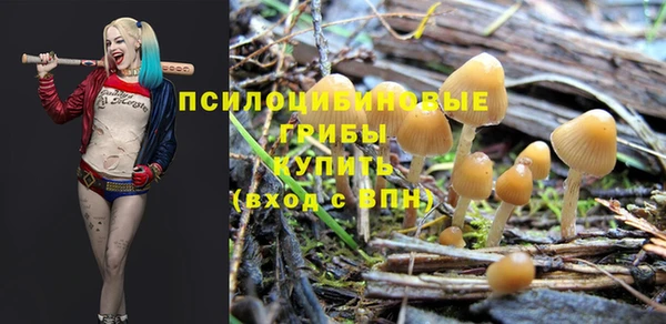 бошки Алексин